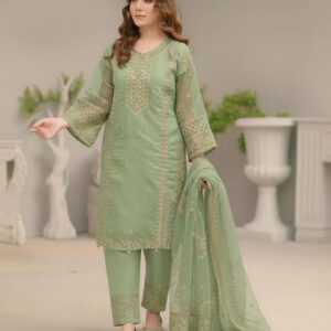 3 Pcs Women's Stitched Organza Embroidered Suit