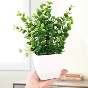 White Plastic Planter for Indoor Plants Decor